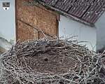 Capi_Dubne_20260807_144003.jpg