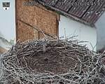 Capi_Dubne_20260807_144502.jpg