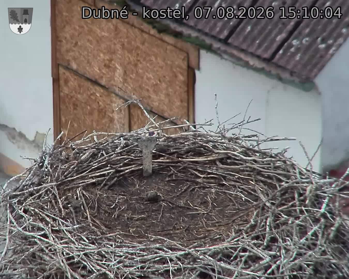 Capi_Dubne_20260807_151004.jpg (1350&nbsp;x&nbsp;1080)