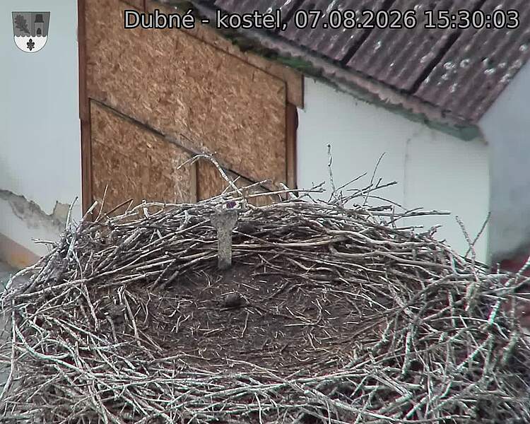 Capi_Dubne_20260807_153003.jpg (1350&nbsp;x&nbsp;1080)