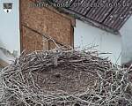 Capi_Dubne_20260807_160504.jpg