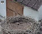 Capi_Dubne_20260807_161503.jpg