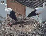 Capi_Dubne_20260807_170503.jpg