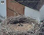 Capi_Dubne_20260807_171503.jpg