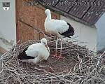 Capi_Dubne_20260807_200503.jpg
