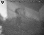 Capi_Dubne_20260807_213002.jpg