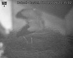 Capi_Dubne_20260807_213502.jpg