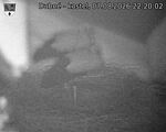 Capi_Dubne_20260807_222002.jpg