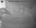 Capi_Dubne_20260808_005002.jpg