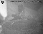 Capi_Dubne_20260808_014003.jpg