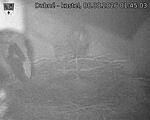 Capi_Dubne_20260808_014503.jpg