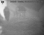 Capi_Dubne_20260808_015502.jpg