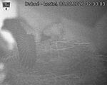Capi_Dubne_20260808_020003.jpg