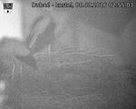 Capi_Dubne_20260808_025503.jpg