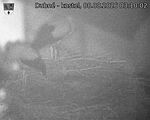 Capi_Dubne_20260808_031002.jpg