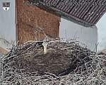 Capi_Dubne_20260808_074504.jpg