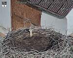 Capi_Dubne_20260808_075502.jpg