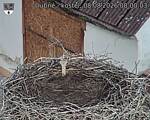 Capi_Dubne_20260808_080003.jpg