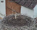 Capi_Dubne_20260808_085004.jpg