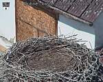 Capi_Dubne_20260808_125002.jpg