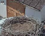 Capi_Dubne_20260808_151503.jpg