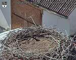 Capi_Dubne_20260808_155003.jpg
