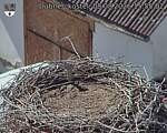 Capi_Dubne_20260808_155502.jpg