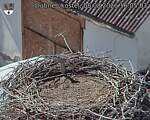 Capi_Dubne_20260808_160503.jpg