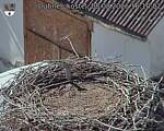 Capi_Dubne_20260808_161002.jpg