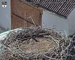 Capi_Dubne_20260808_162003.jpg