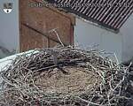 Capi_Dubne_20260808_162502.jpg
