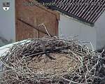 Capi_Dubne_20260808_164002.jpg