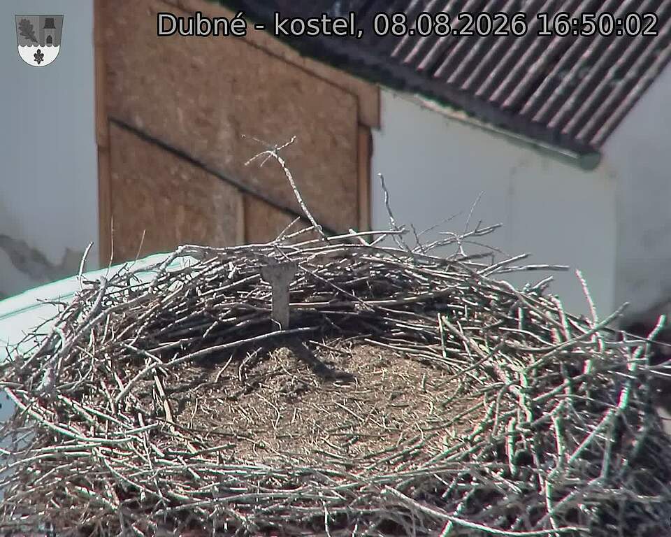 preload