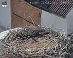 Capi_Dubne_20260808_170002.jpg