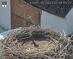 Capi_Dubne_20260808_180502.jpg