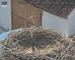 Capi_Dubne_20260808_190502.jpg