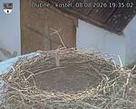 Capi_Dubne_20260808_193502.jpg