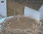 Capi_Dubne_20260808_200004.jpg
