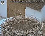 Capi_Dubne_20260808_200504.jpg