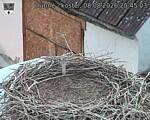 Capi_Dubne_20260808_204503.jpg