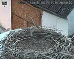 Capi_Dubne_20260808_205002.jpg