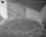 Capi_Dubne_20260808_210503.jpg