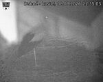 Capi_Dubne_20260808_213503.jpg