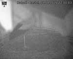 Capi_Dubne_20260808_220003.jpg