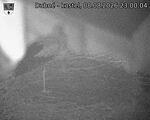 Capi_Dubne_20260808_230004.jpg
