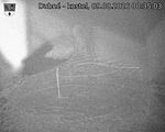 Capi_Dubne_20260809_003503.jpg