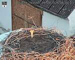 Capi_Dubne_20260809_060003.jpg