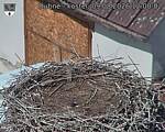 Capi_Dubne_20260809_120002.jpg
