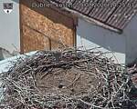 Capi_Dubne_20260809_142503.jpg