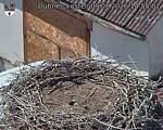 Capi_Dubne_20260809_145502.jpg
